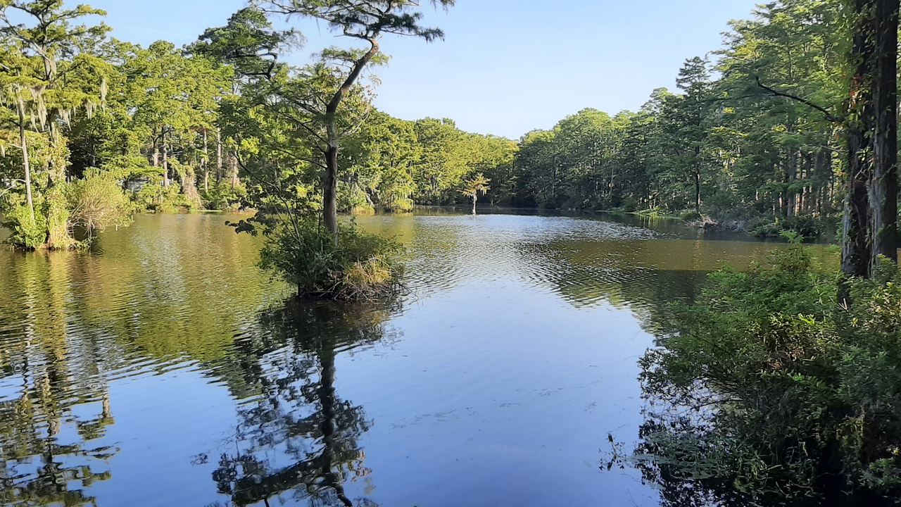 Greenfield Lake Park